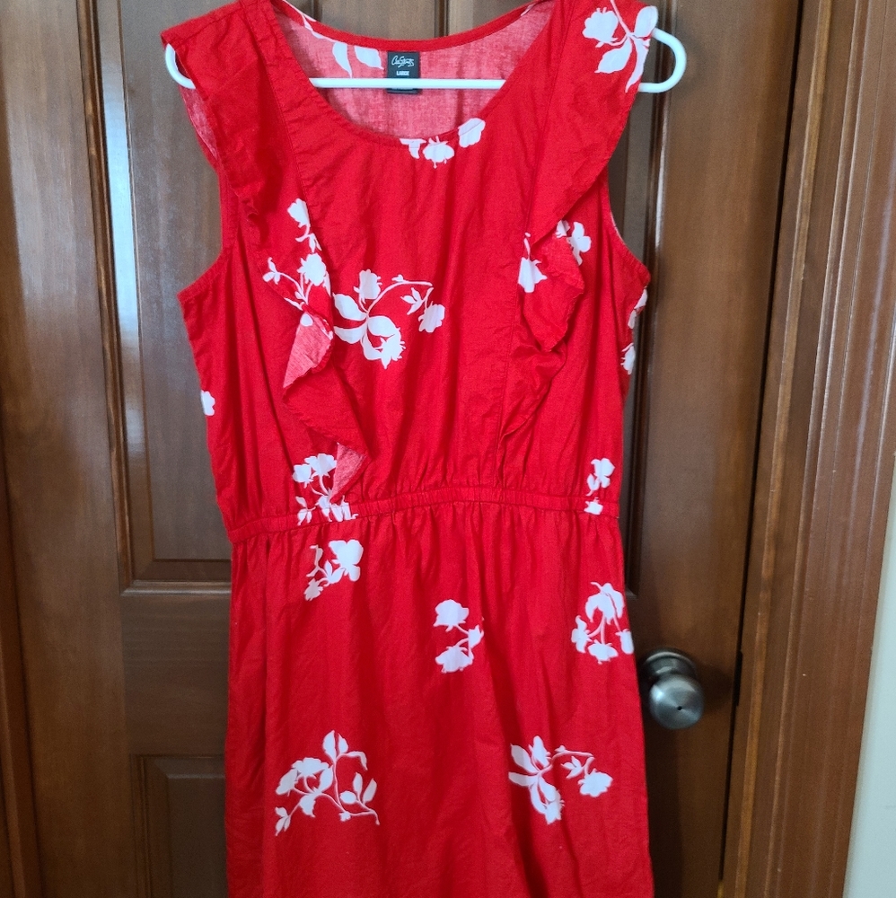Size Large Dress